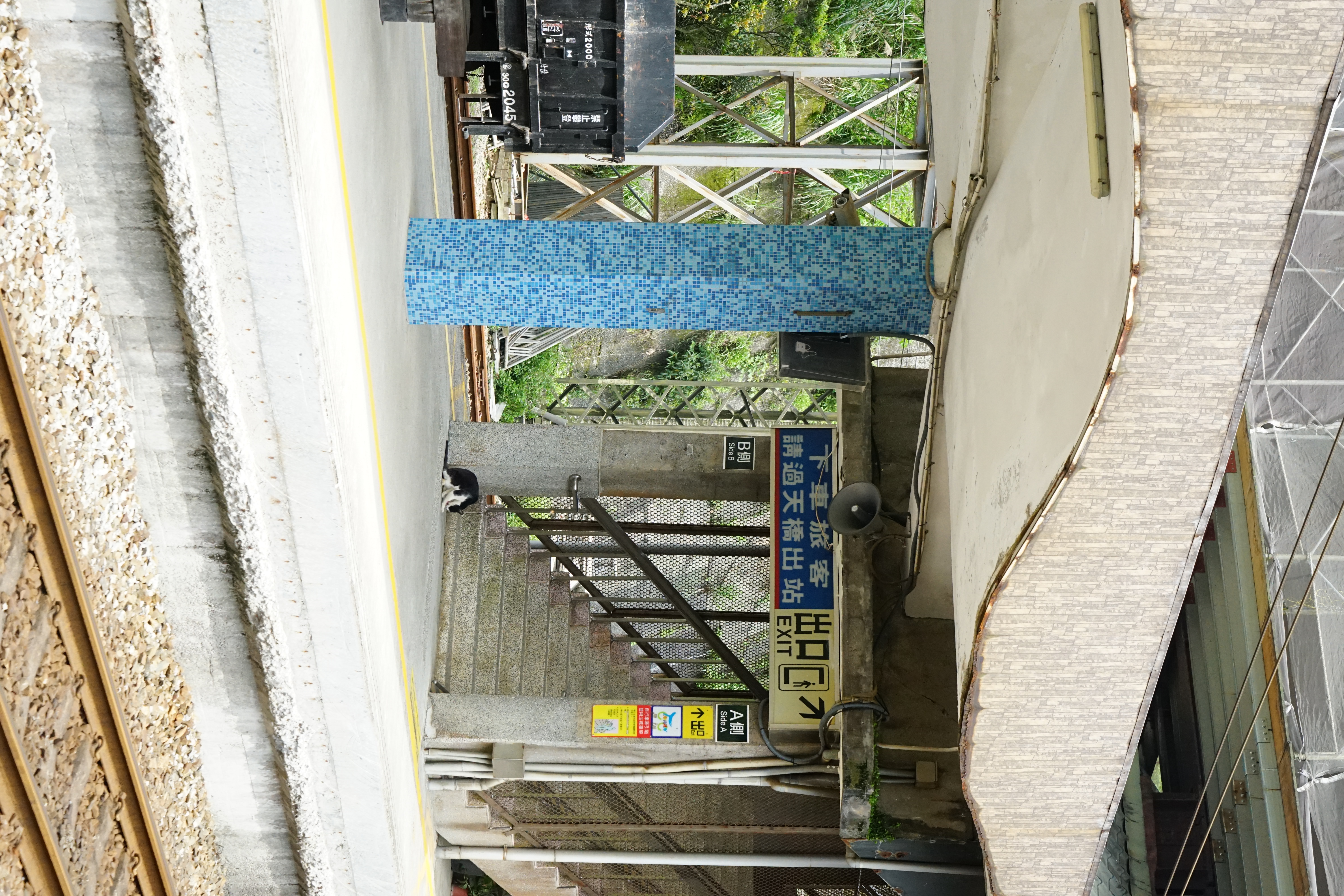DSC03387.JPG