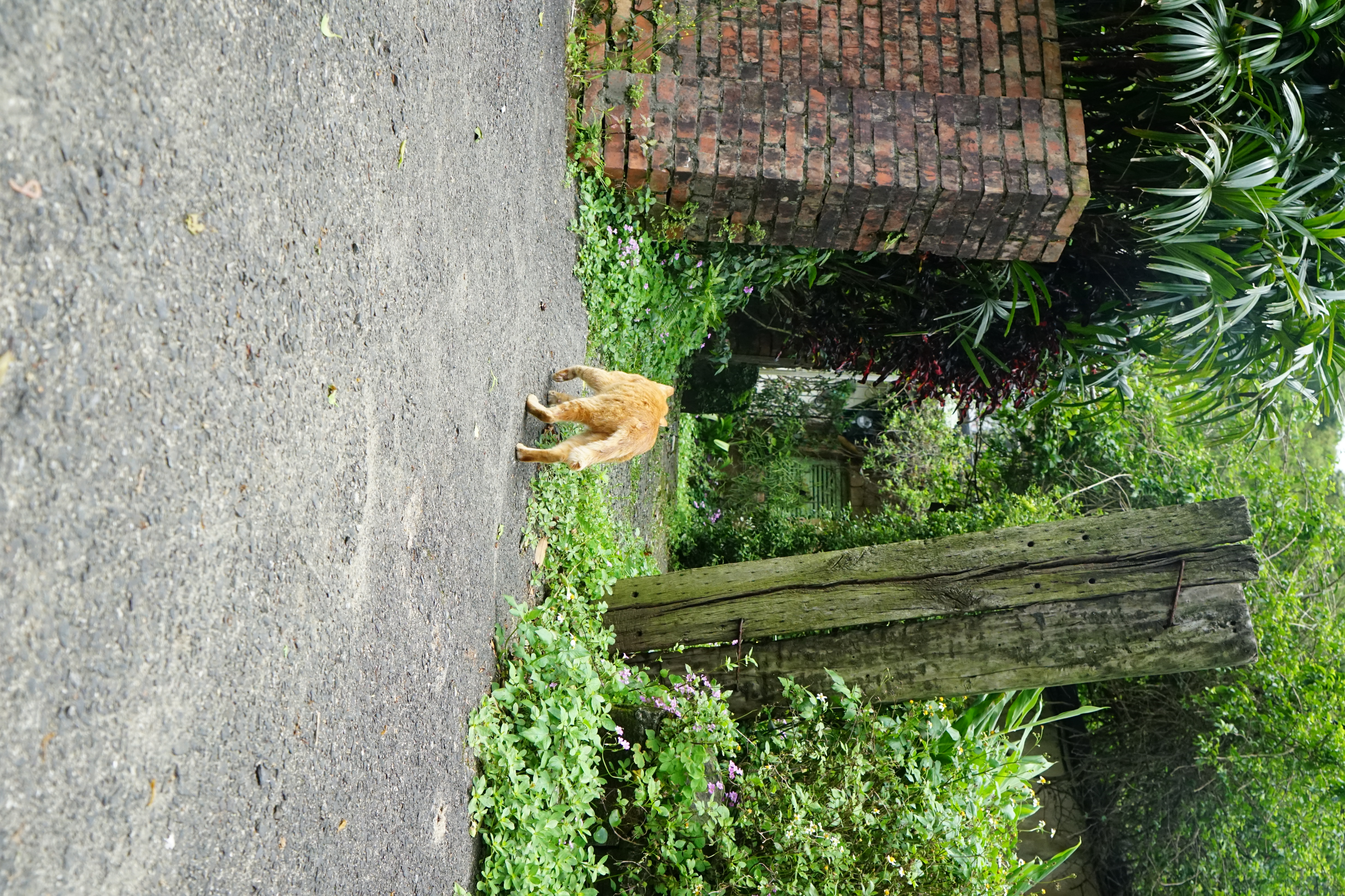 DSC03392.JPG