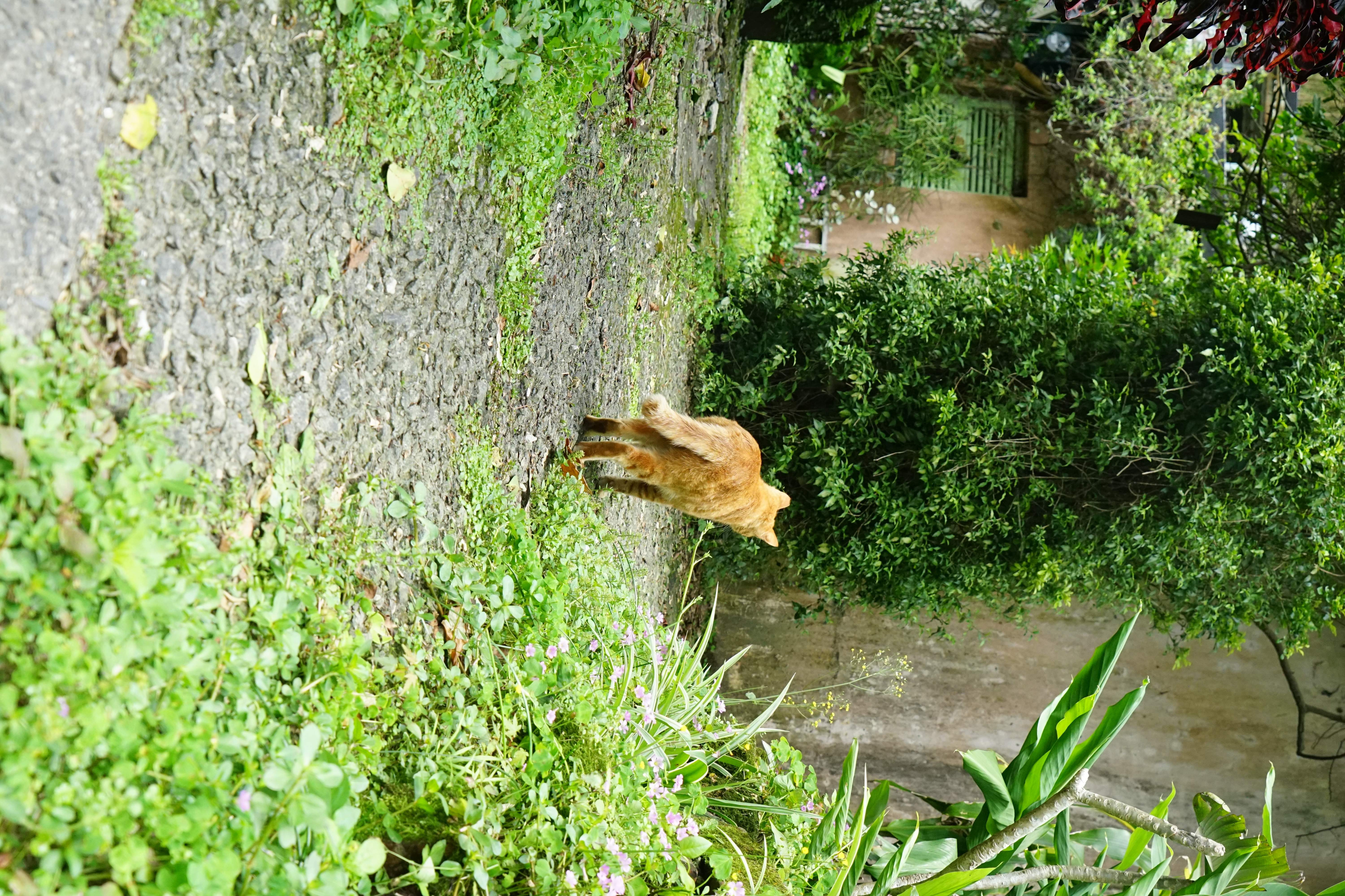 DSC03393.JPG